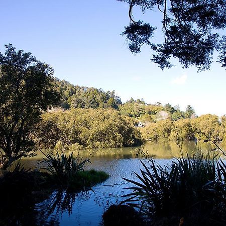 By The Park B & B Whangarei Eksteriør bilde