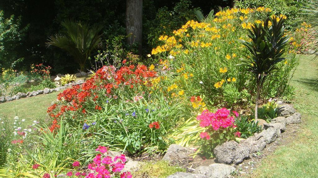 By The Park B & B Whangarei Rom bilde